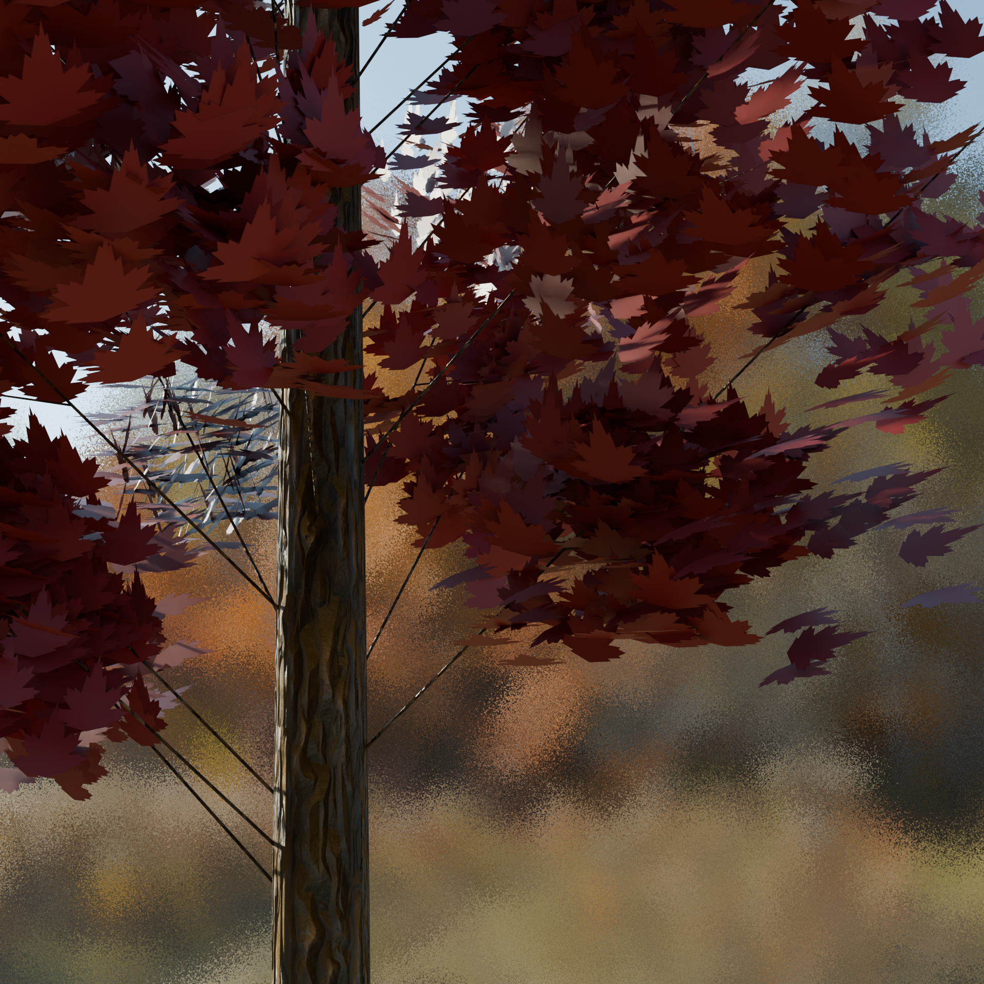 Northern Red Oak Closeup